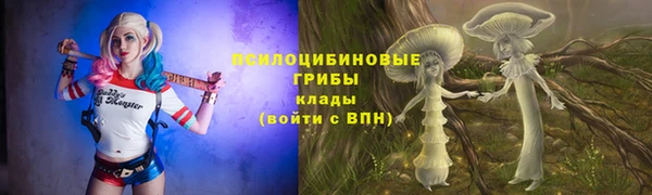 кокс Алексин