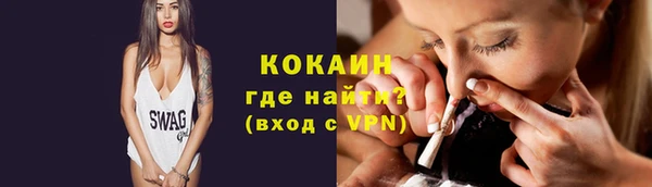 кокс Алексин