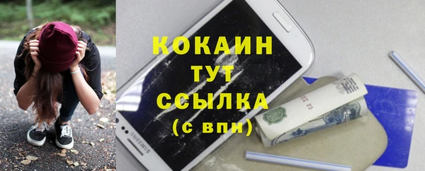 кокс Алексин