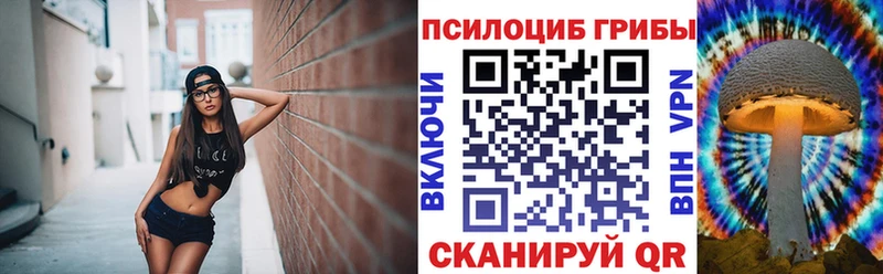 Псилоцибиновые грибы Psilocybe  omg ссылка  Поронайск  закладки 